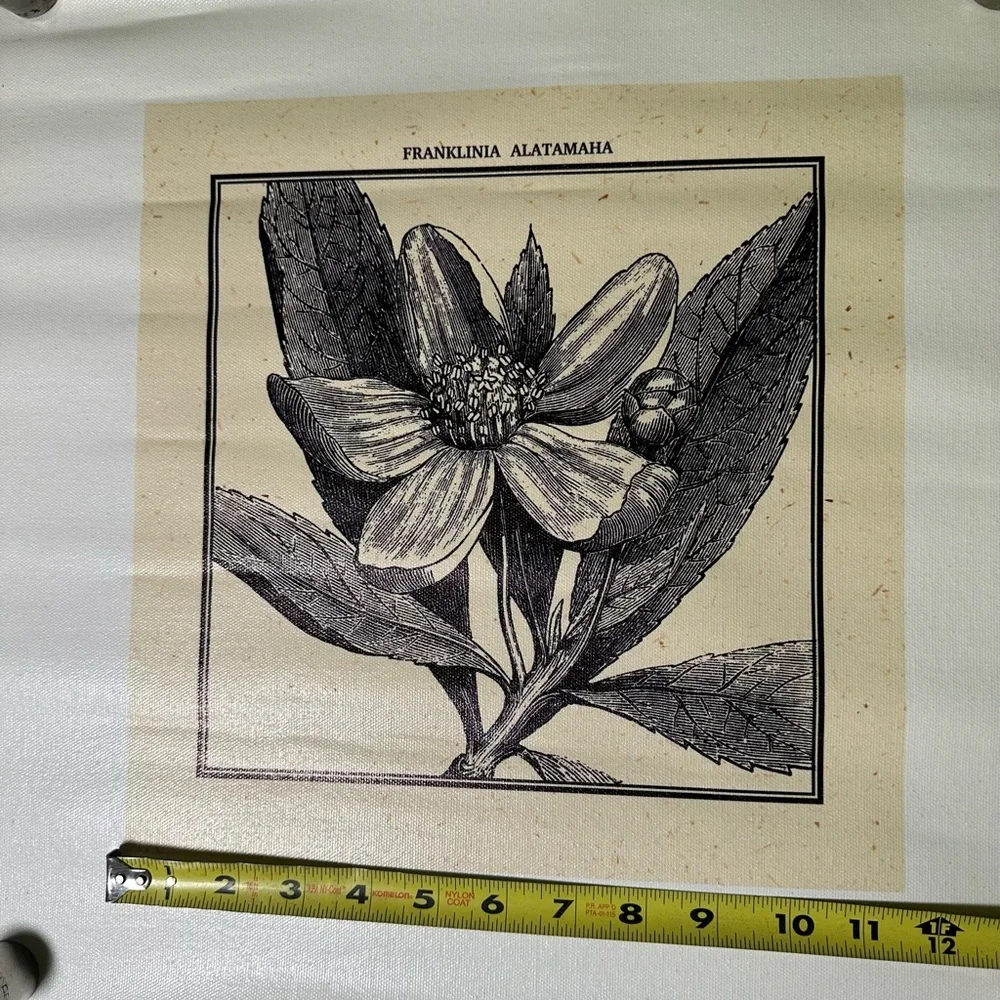 N/A franklin tree